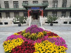 -北京协和医院(东单院区)