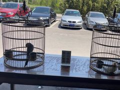 -那家小馆•北京菜•烤鸭(香山店)