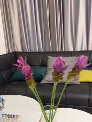 体验前-谦和国际皮肤管理