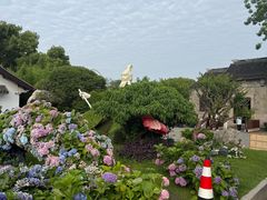 -无锡蠡湖国家湿地公园-蠡园