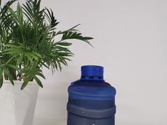 网红水桶泰奶-milkplus·泰式奶茶(较场东路店)