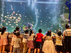 -杭州开元森泊度假乐园