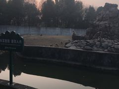 -合肥野生动物园
