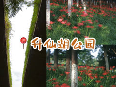 -升仙湖公园