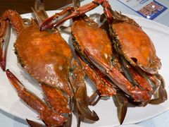 -日月昇渔家菜·海肠捞饭·大连海鲜(星海公园店)