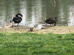 -长春市南湖公园