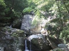 -牛背梁国家森林公园
