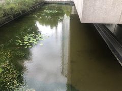 -天津美术学院-校史馆
