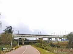 -白鹭湾湿地公园