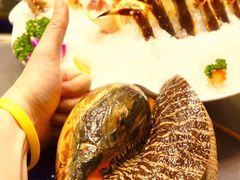 椰子螺-金龙·打边炉(武进路店)