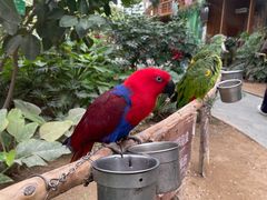 -南宫五洲植物乐园