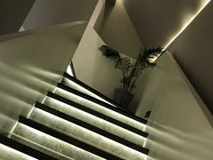 -青梅酒肆PLUS(长白仙岛北路店)