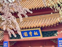 -桃花堤公园