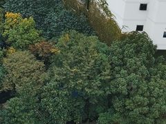 -裕和堂中医推拿艾灸(太古汇臻品店)