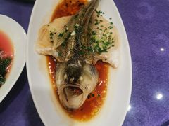 清蒸鲈鱼-双东酒店(东关街店)