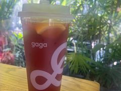 -gaga(深圳南山益田假日广场店)