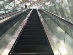 -凤凰中心