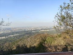 -紫金山山顶公园