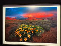 -罗红摄影艺术馆