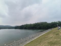 -佛手湖郊野公园