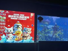 -重庆欢乐海底世界