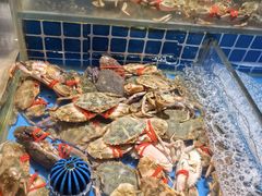 -加餐海鲜自助(集美银泰百货店)