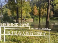 -云溪植物园