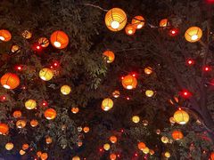 -福苗小骆驼烧烤(曲江店)