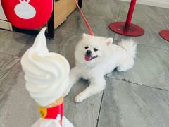 -217笋干馄饨