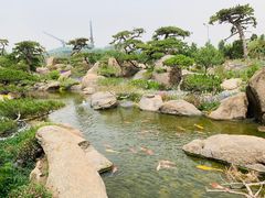 -罗红摄影艺术馆