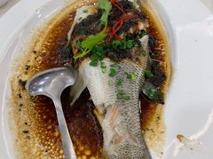 -新梅园不夜粥(龙华店)