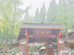 -青城甲(青城山店)