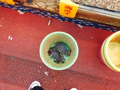 -渔中舟海鲜大排档(普陀沈家门店)