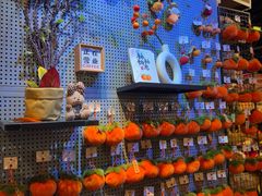 -酷乐潮玩(五道口购物中心店)