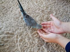 -昆明大悦城未来动物城(螺蛳湾中心店)