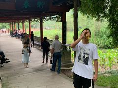 -重庆彩云湖湿地公园
