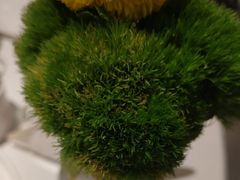 -顺峰(农展馆店)