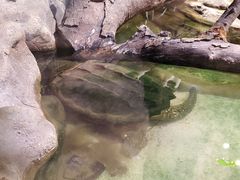 -正佳雨林生态植物园