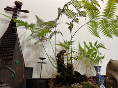 -道南書院·私房菜·早午茶·茶馆