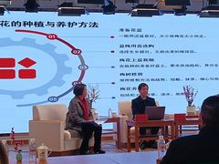 -轮渡红巷旅游码头