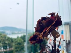 -老欧洲咖啡·西餐(后湖店)