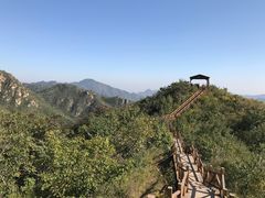 -大岭沟猕猴桃谷风景区