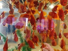 -玲珑汤泉生活会馆(花桥店)