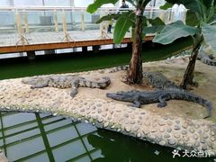 -石家庄市动物园