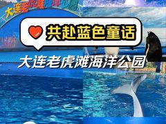 -大连老虎滩海洋公园