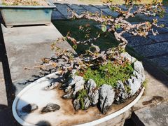 -中山詹园
