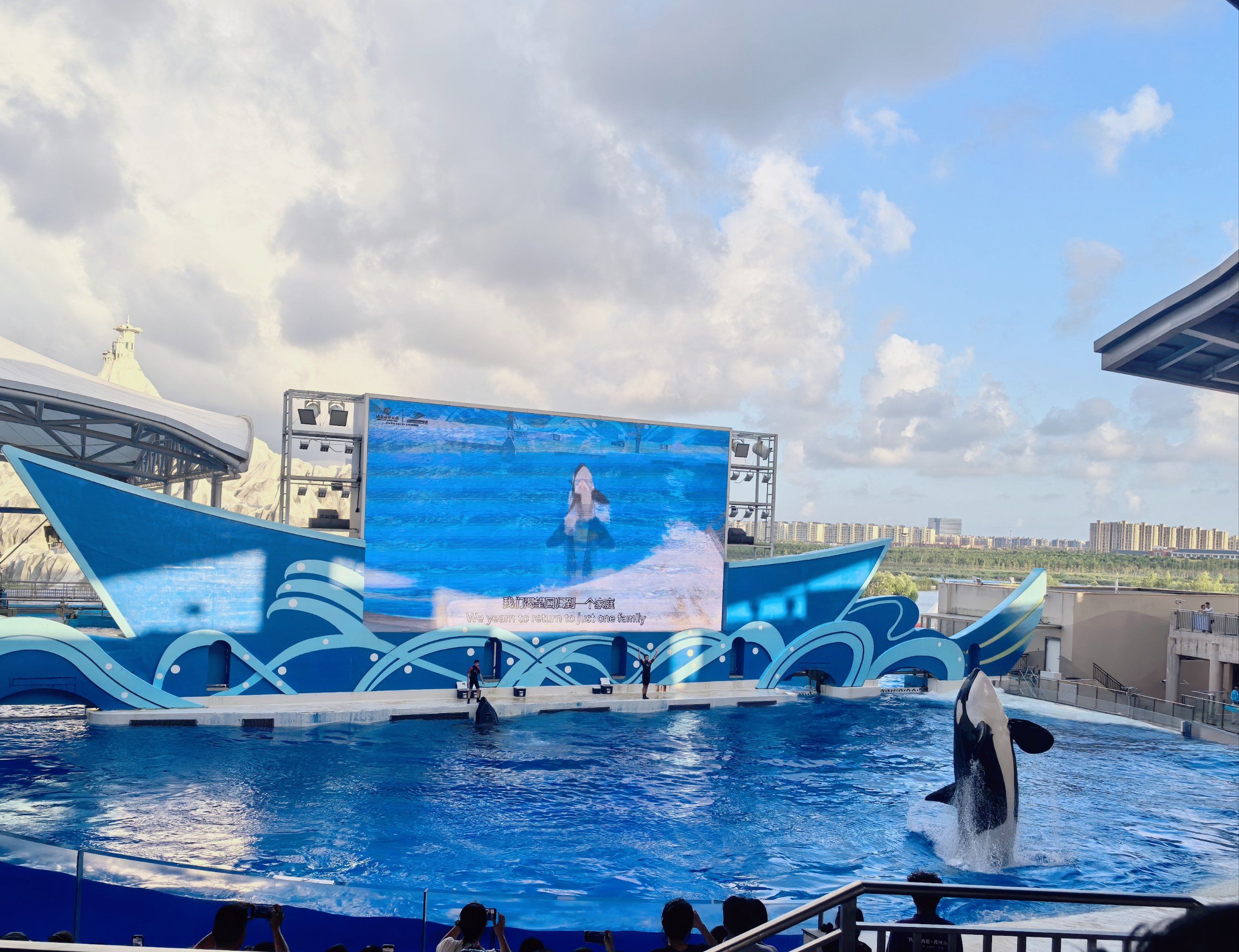 的风景#海洋公园攻略#看动物世界品百味人生#亲子游玩攻略个人感觉