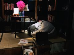 -陶享时光西餐·下午茶·竹林花园(新城店)