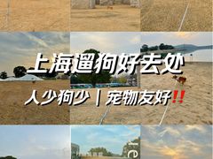 -上海月湖雕塑公园