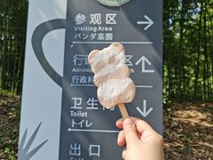 -都江堰中华大熊猫苑